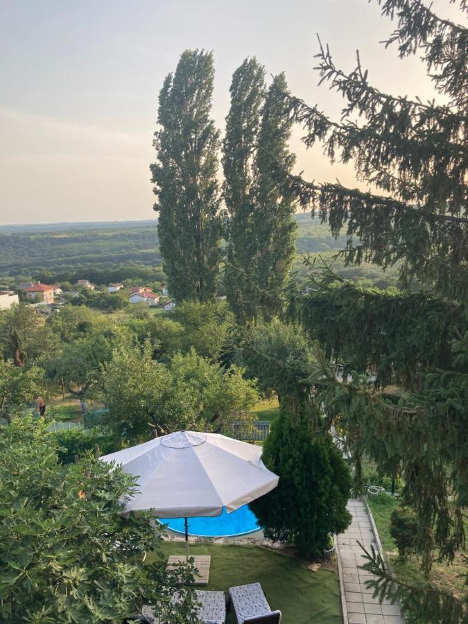 Sofia